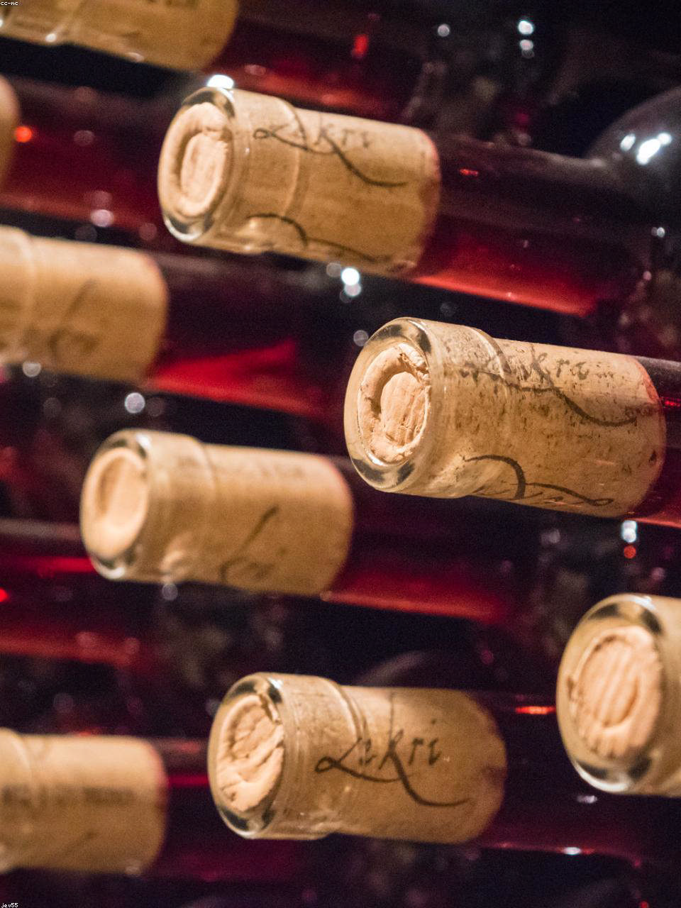 Priorat Garnacha 2020