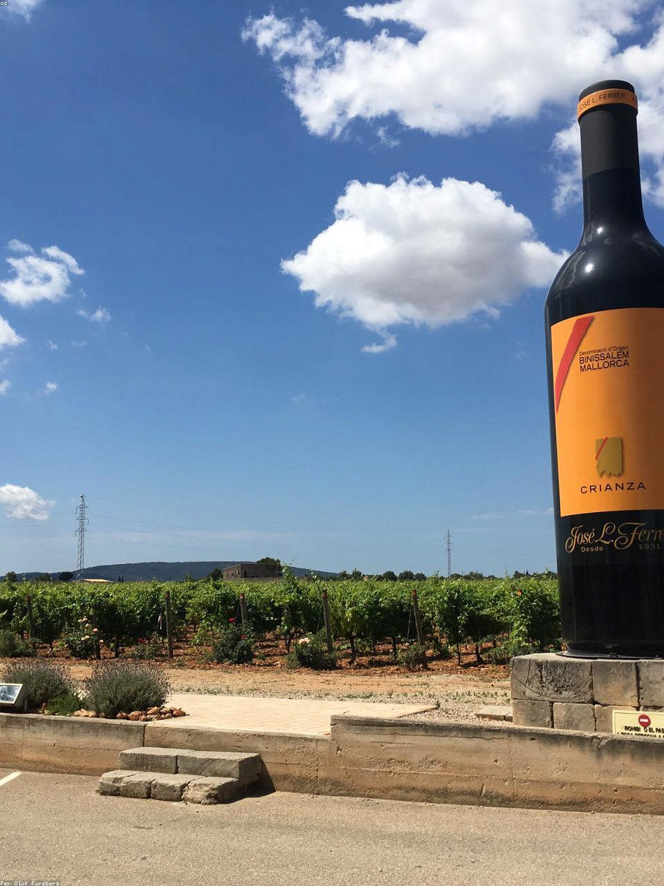 Malbec Mendoza Reserva 2021