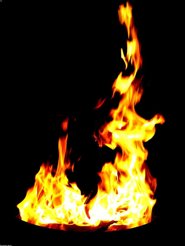 Chenin Blanc Loire 2022