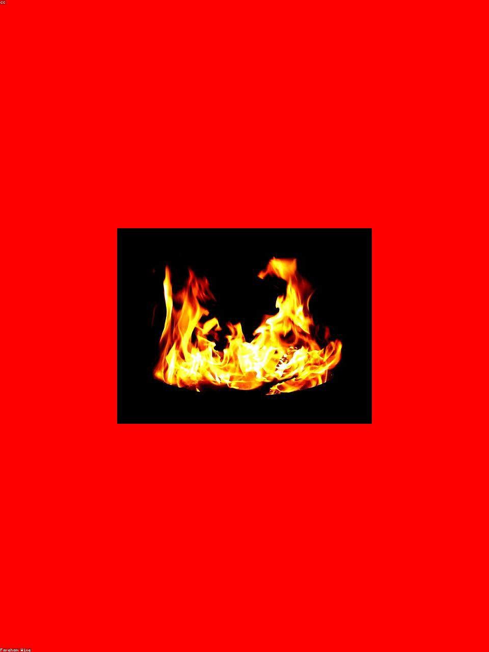 Vermentino Toscana 2023