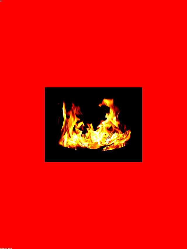 Vermentino Toscana 2023